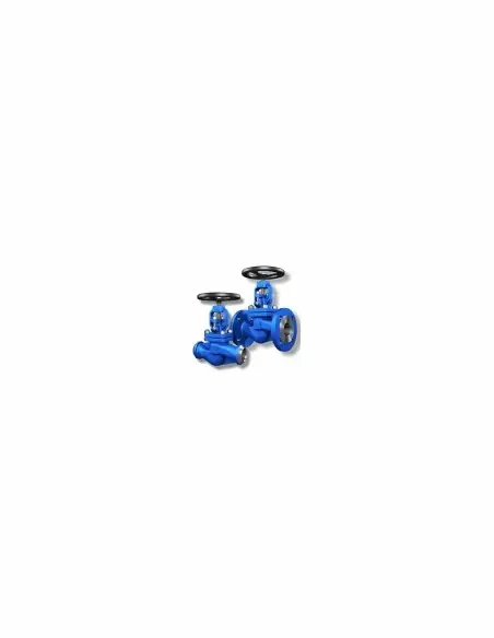 Globe valve V30.1 | Corex | Philippopoulos s.a.