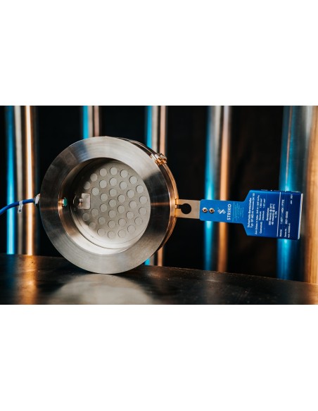 Flat Metal Rupture Disc | Striko Striko - 5