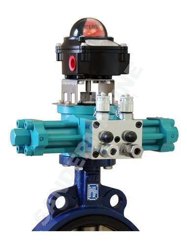Hydraulic part-turn actuators