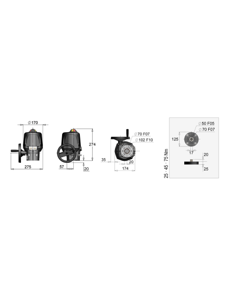 Electric Actuator - DV / DVX (ATEX) | Valpes