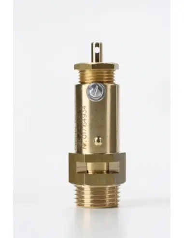 Safety Valves Free Discharge - C10 | Nuova | Philippopoulos s.a.