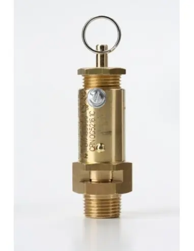 Safety Valves Free Discharge - C10 | Nuova | Philippopoulos s.a.