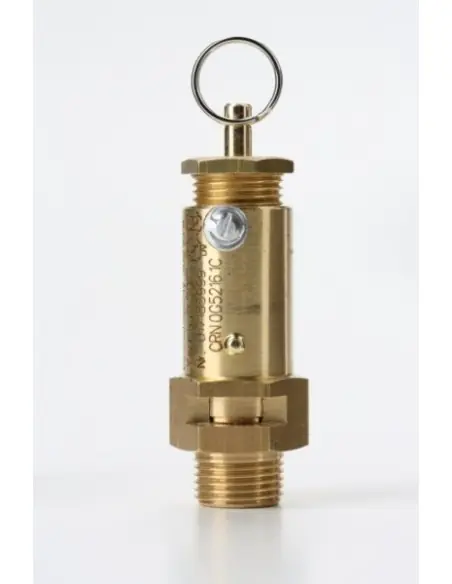 Safety Valves Free Discharge - C10 | Nuova | Philippopoulos s.a.