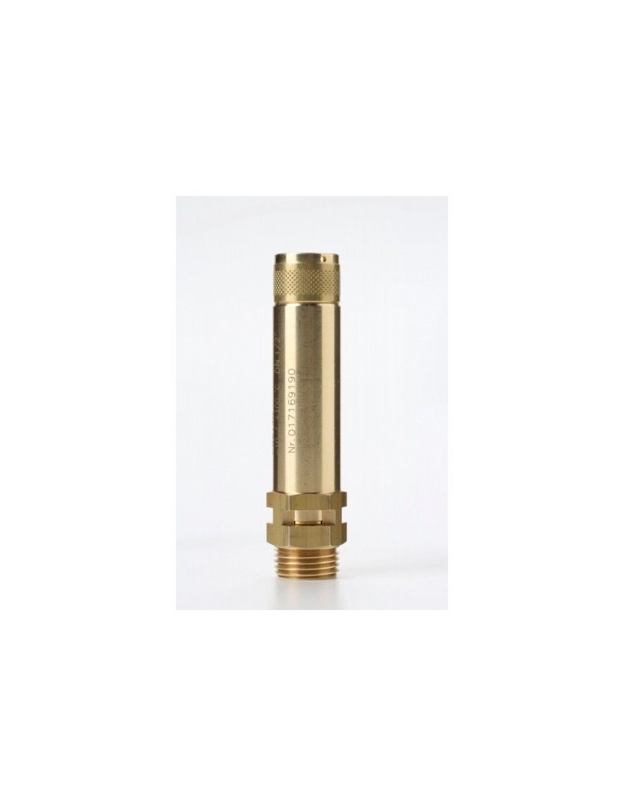 Safety Valves Free Discharge - B12 | Nuova