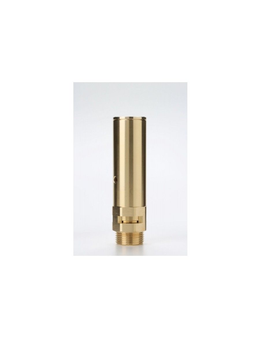 Safety Valves Free Discharge - B20 | Nuova