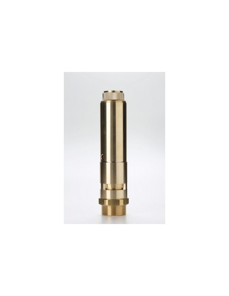 Safety Valves Free Discharge - B38 | Nuova