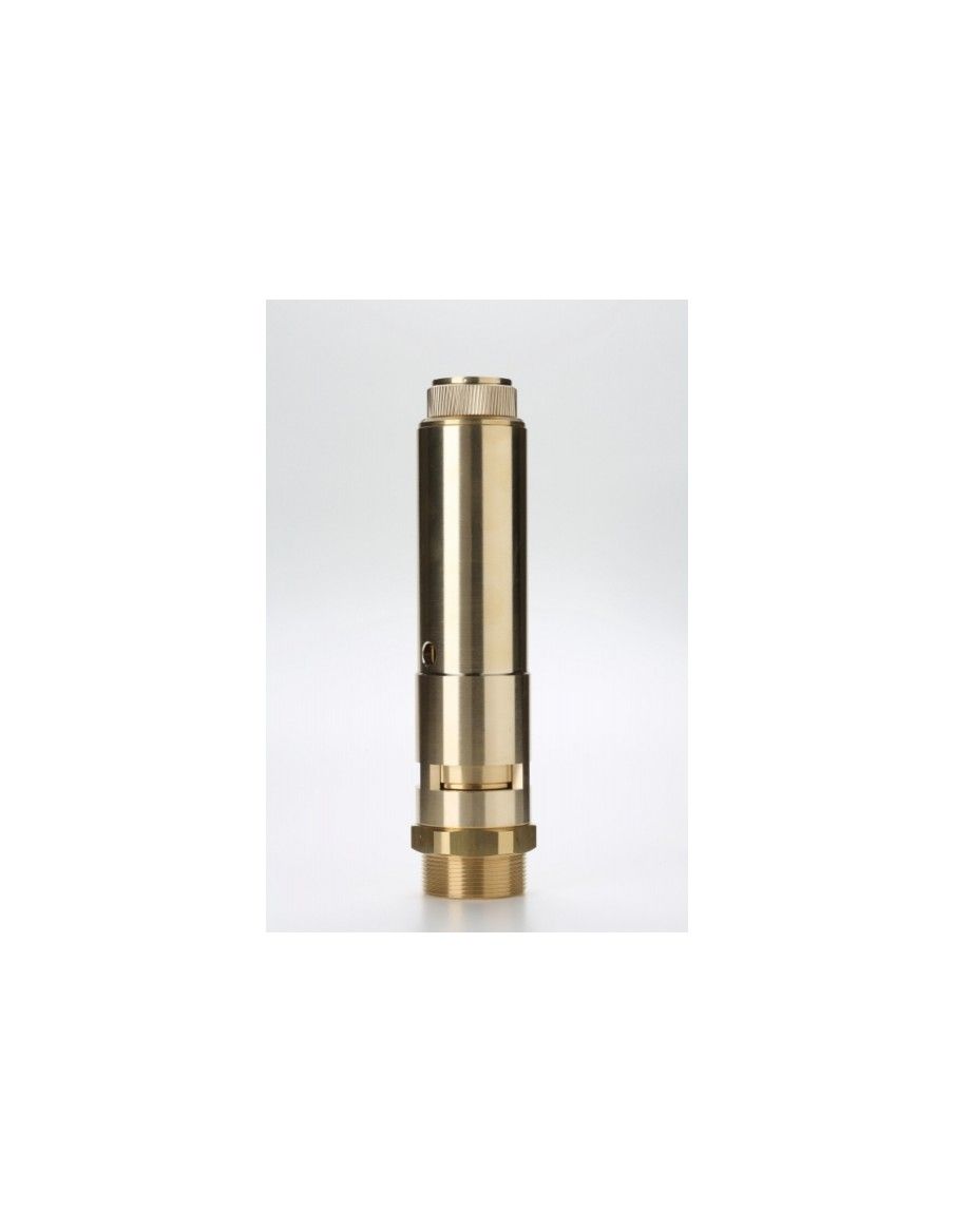 Safety Valves Free Discharge - F40 | Nuova