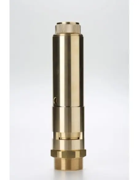 Safety Valves Free Discharge - F40 | Nuova | Philippopoulos s.a.