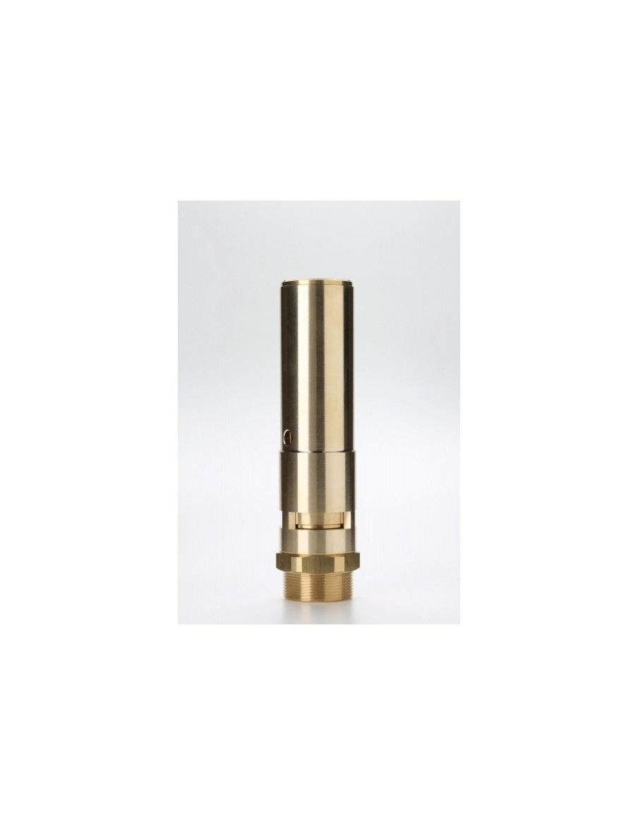 Safety Valves Free Discharge - F40 | Nuova