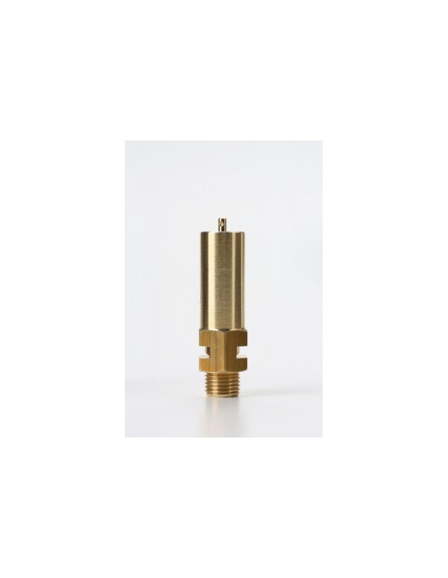Safety Valves Free Discharge - Z7 | Nuova