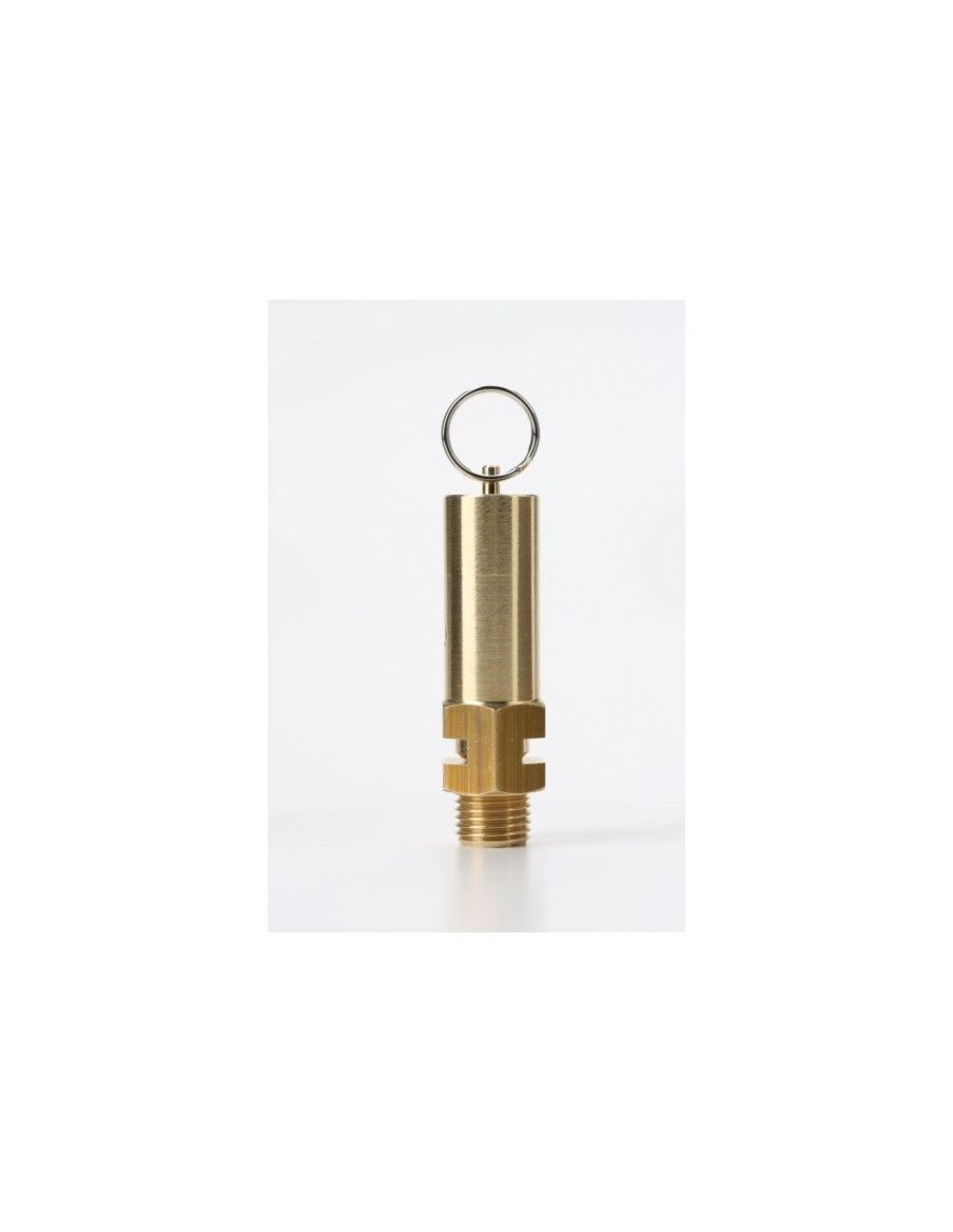 Safety Valves Free Discharge - Z7 | Nuova