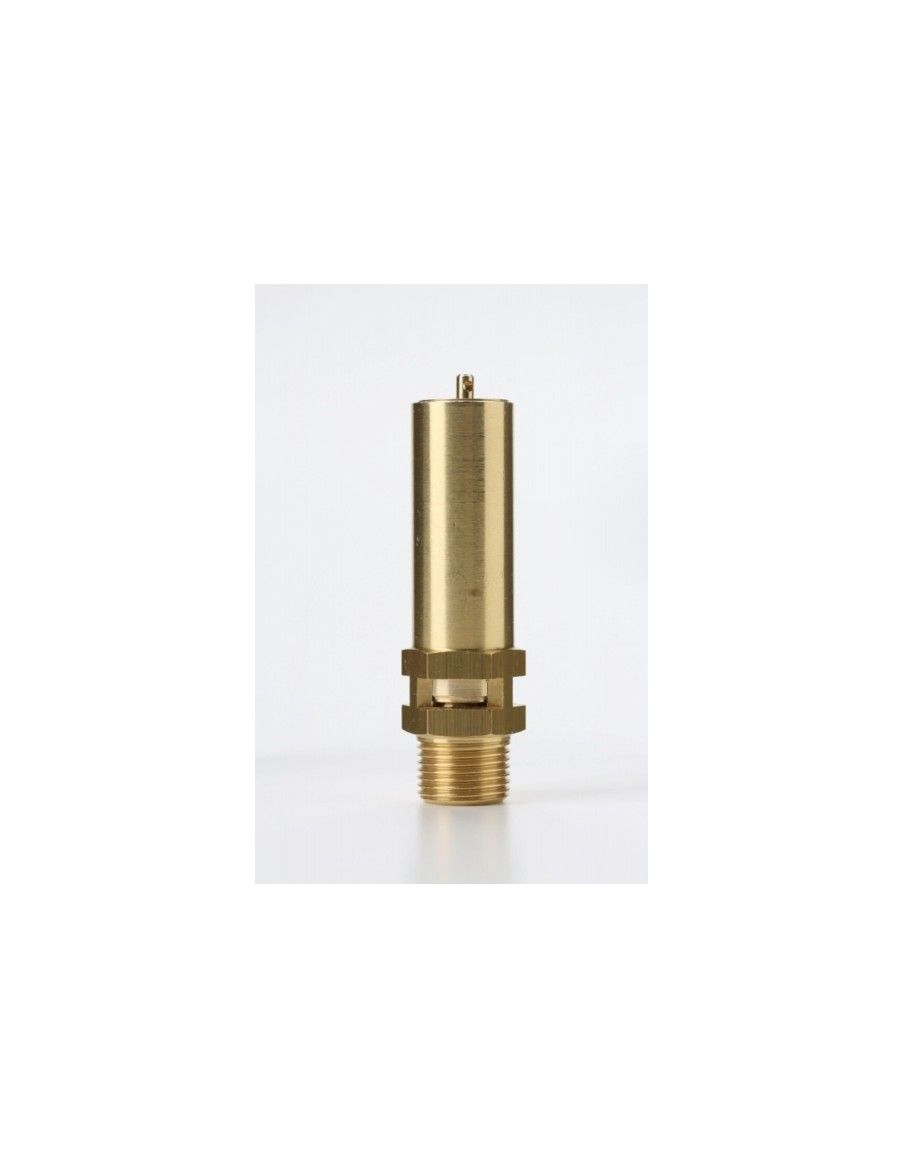 Safety Valves Free Discharge - Z10 | Nuova