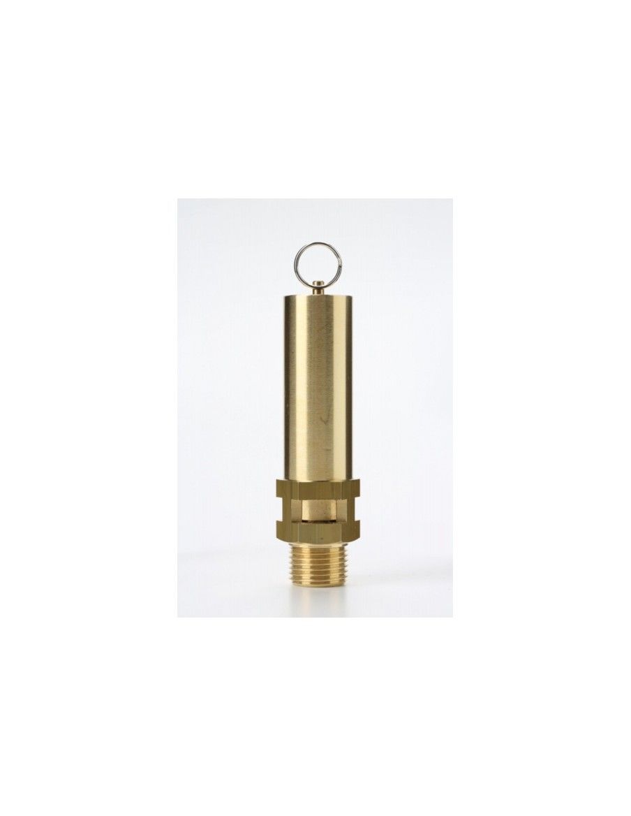 Safety Valves Free Discharge - Z10 | Nuova