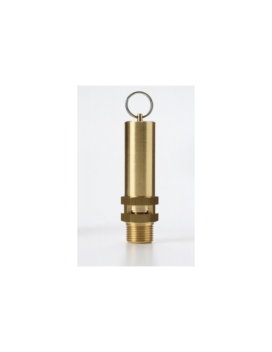 Safety Valves Free Discharge - Z14 | Nuova