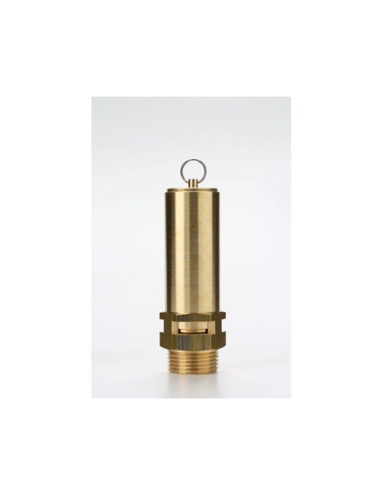 Safety Valves Free Discharge - Z20 | Nuova