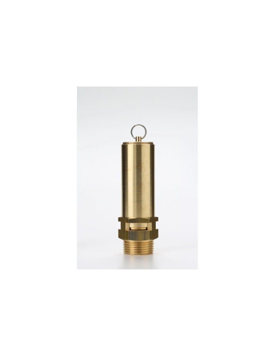 Safety Valves Free Discharge - Z20 | Nuova