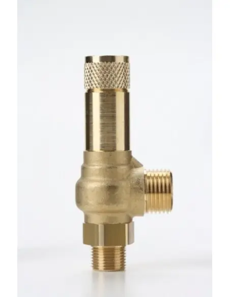 Safety Valves Piped Discharge - D7/C | Nuova | Philippopoulos s.a.