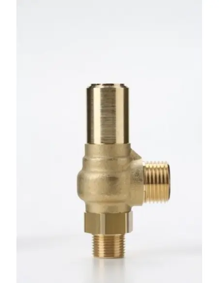 Safety Valves Piped Discharge - D7/C | Nuova | Philippopoulos s.a.