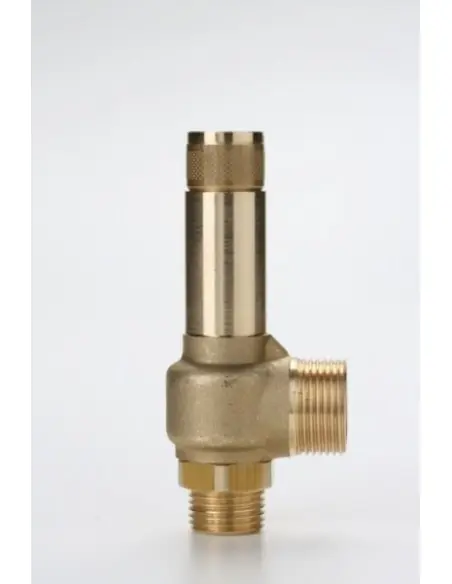 Safety Valves Piped Discharge - D10/C | Nuova | Philippopoulos s.a.