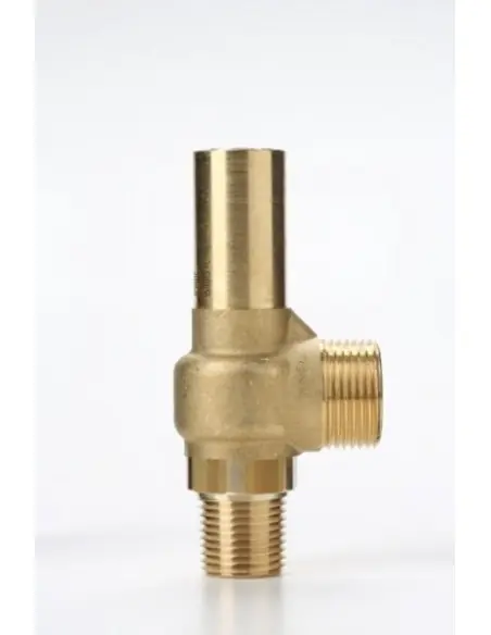 Safety Valves Piped Discharge - D10/C | Nuova | Philippopoulos s.a.