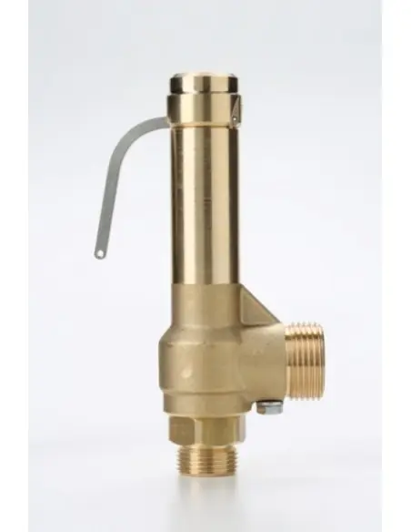 Safety Valves Piped Discharge - G10 | Nuova | Philippopoulos s.a.