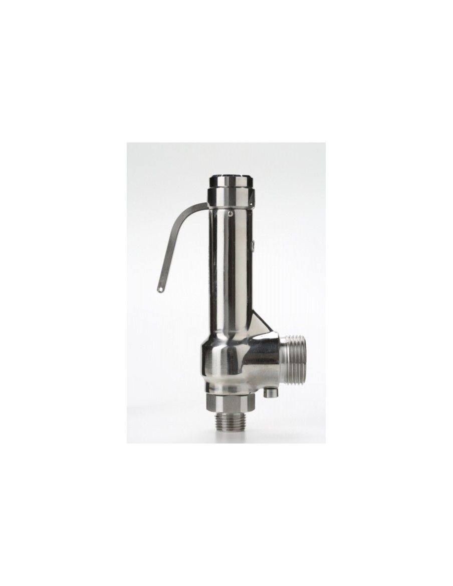 Safety Valves Piped Discharge - G15 | Nuova