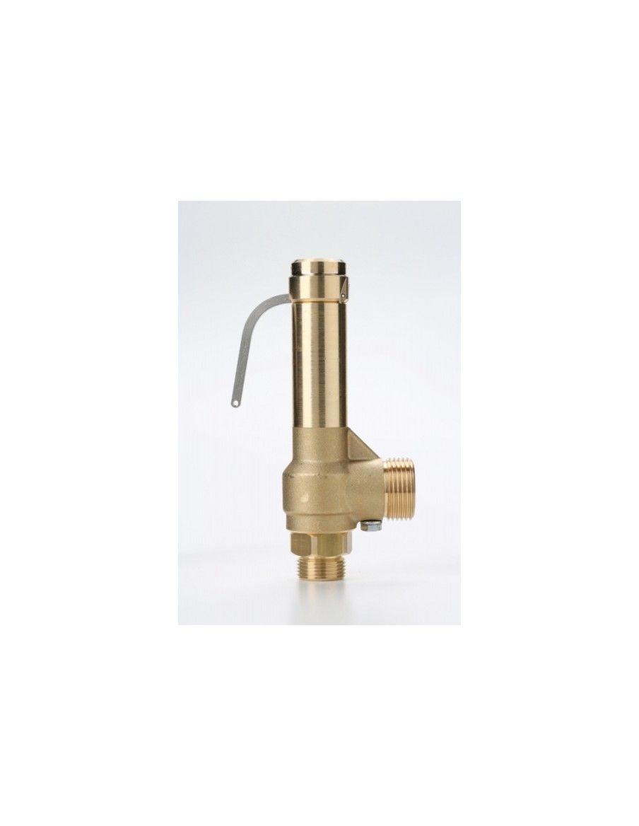 Safety Valves Piped Discharge - G15 | Nuova