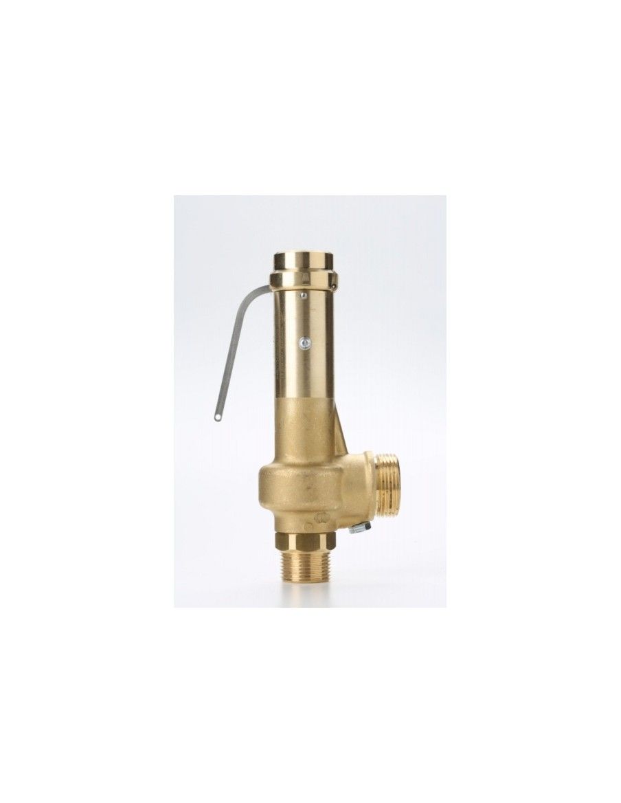 Safety Valves Piped Discharge - G20 | Nuova
