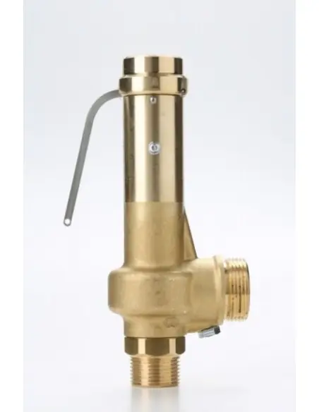 Safety Valves Piped Discharge - G20 | Nuova | Philippopoulos s.a.