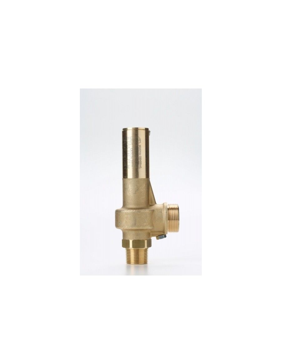 Safety Valves Piped Discharge - G20 | Nuova