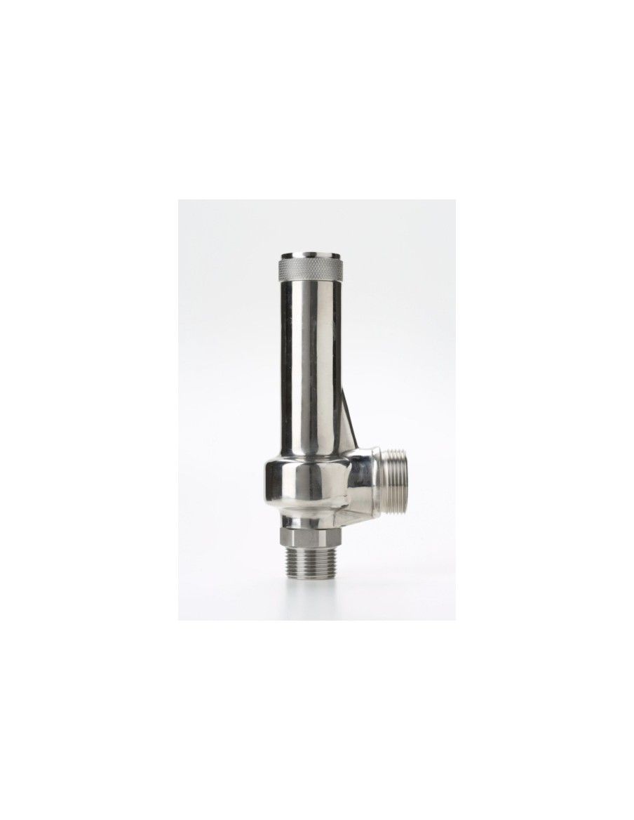 Safety Valves Piped Discharge - G20 | Nuova