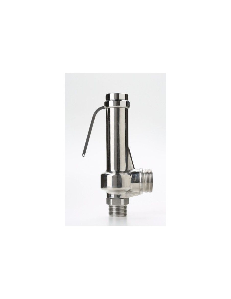 Safety Valves Piped Discharge - G20 | Nuova