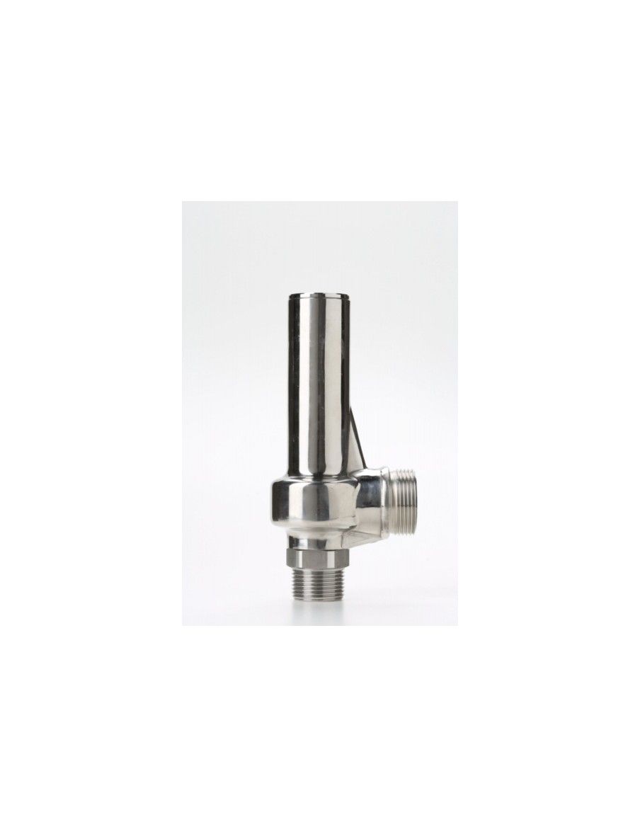 Safety Valves Piped Discharge - G20 | Nuova