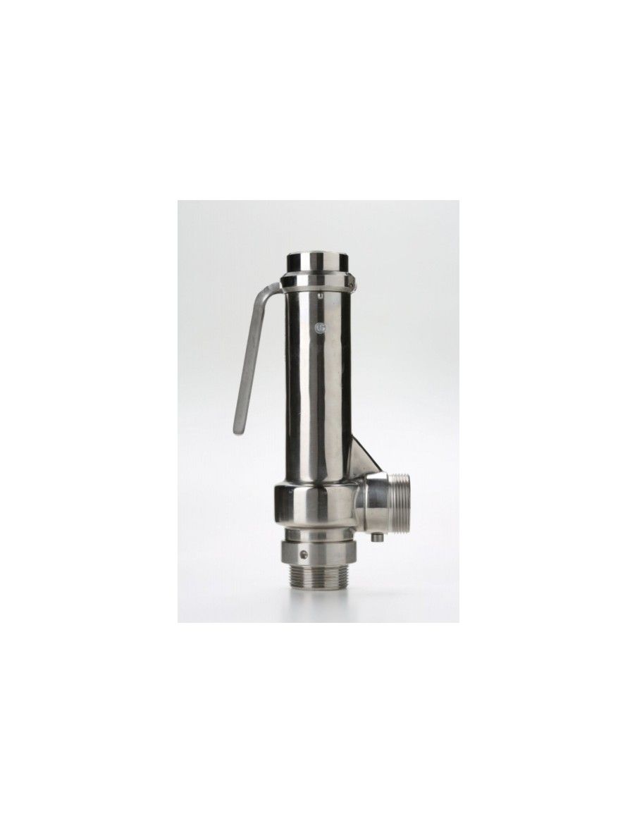 Safety Valves Piped Discharge - G25 | Nuova
