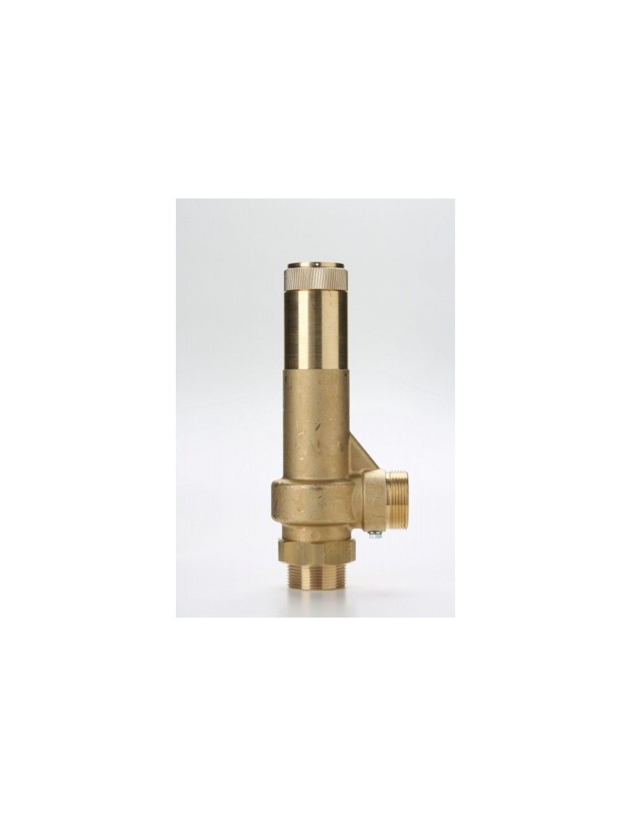 Safety Valves Piped Discharge - G25 | Nuova