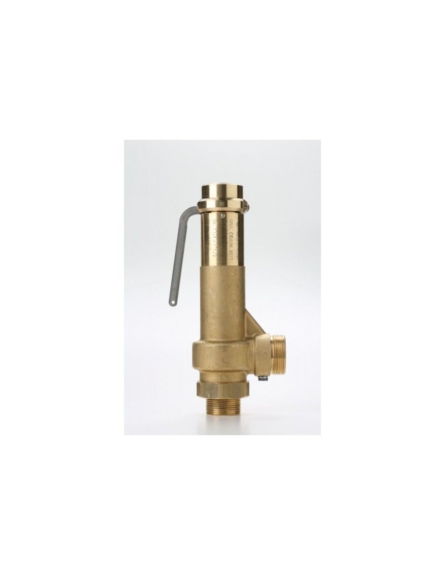 Safety Valves Piped Discharge - G25 | Nuova