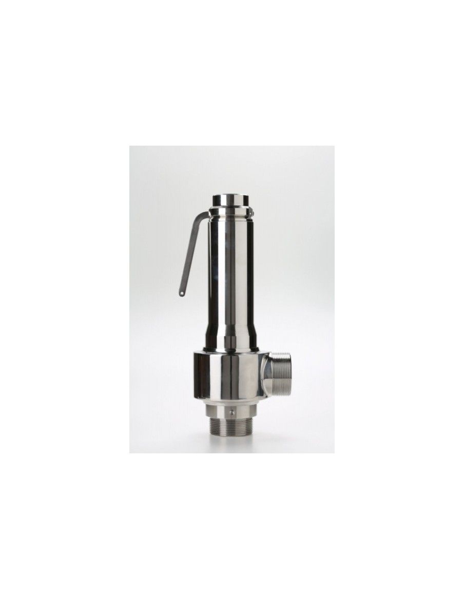 Safety Valves Piped Discharge - B38/L | Nuova