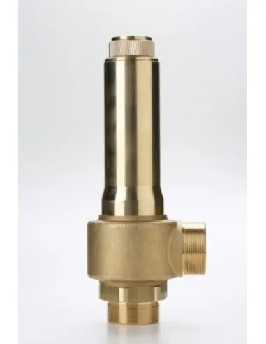Safety Valves Piped Discharge - B38/L | Nuova | Philippopoulos s.a.