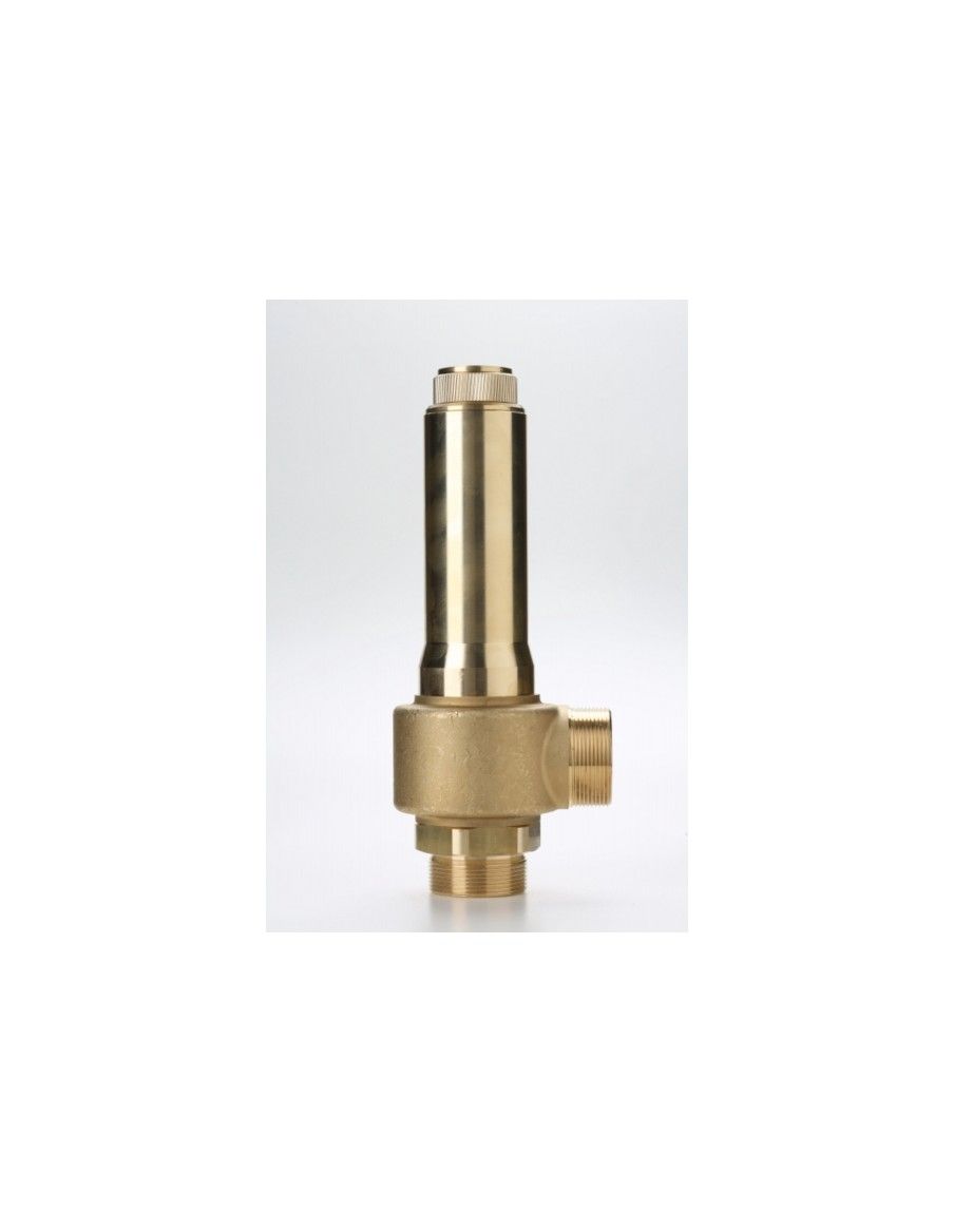 Safety Valves Piped Discharge - B38/L | Nuova