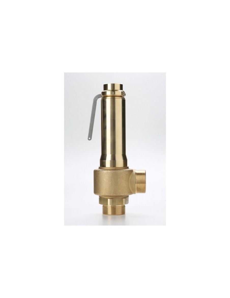 Safety Valves Piped Discharge - B38/L | Nuova