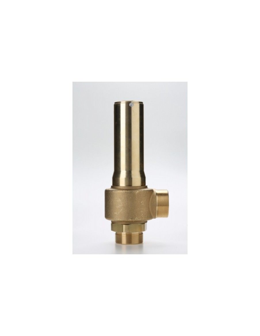 Safety Valves Piped Discharge - B38/L | Nuova