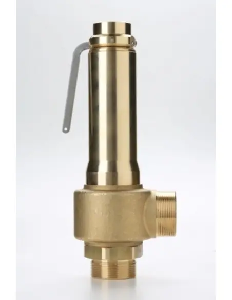 Safety Valves Piped Discharge - G40 | Nuova | Philippopoulos s.a.