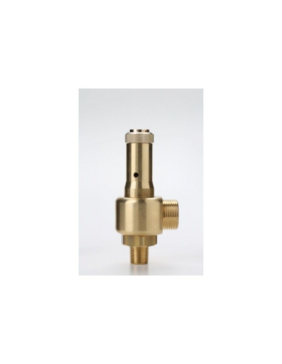 Safety Valves High Pressure - E10/L | Nuova