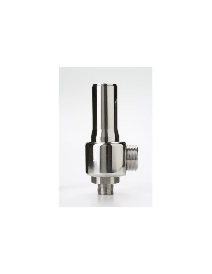Safety Valves High Pressure - E14/L | Nuova