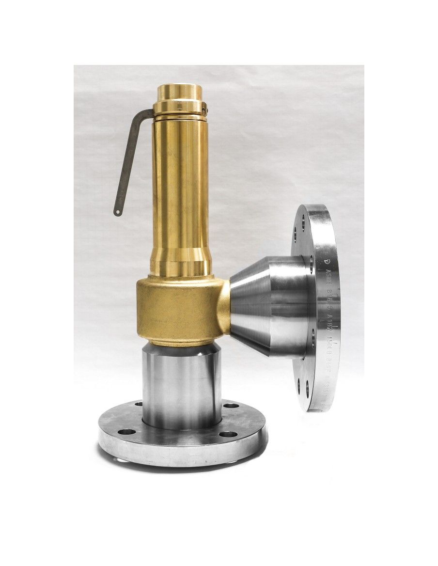 Safety Valves API526 Flanged - G40-API | Nuova