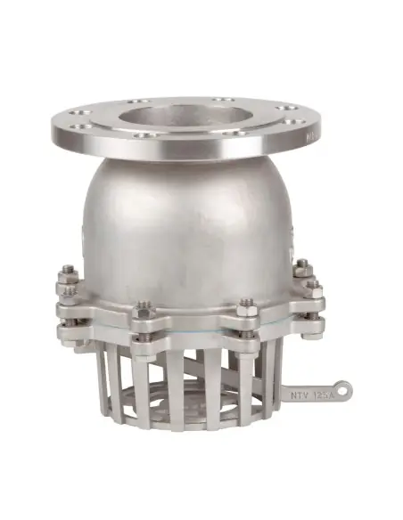 Foot check valve DIN PN16 flange end - 2448 | Genebre | Philippopoulos s.a.