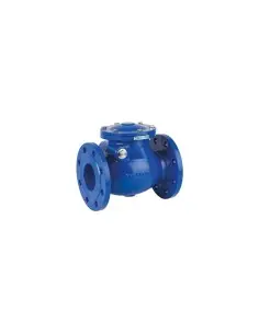 Swing Check Valve - 2455 | Genebre | Philippopoulos s.a.
