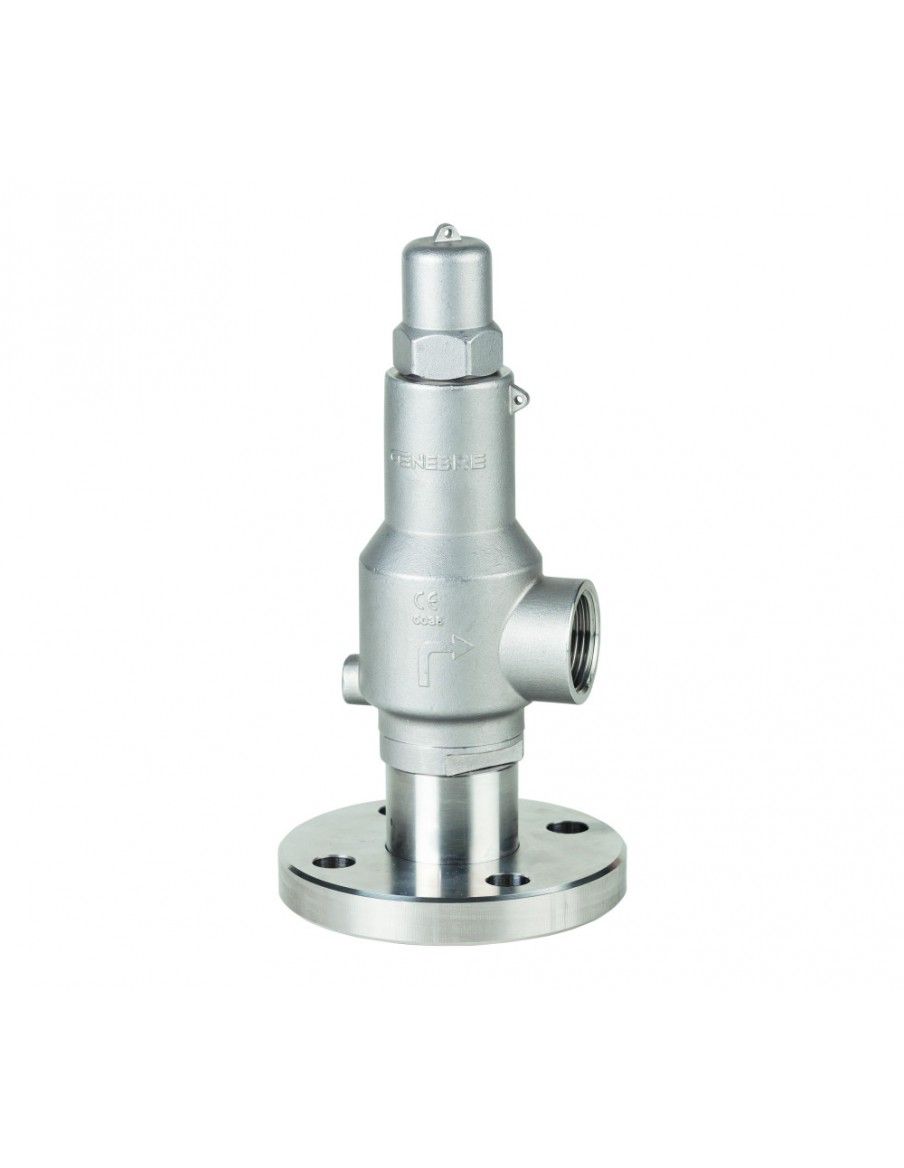 Safety Valves & Pressure relief Valves - 2256 | Genebre
