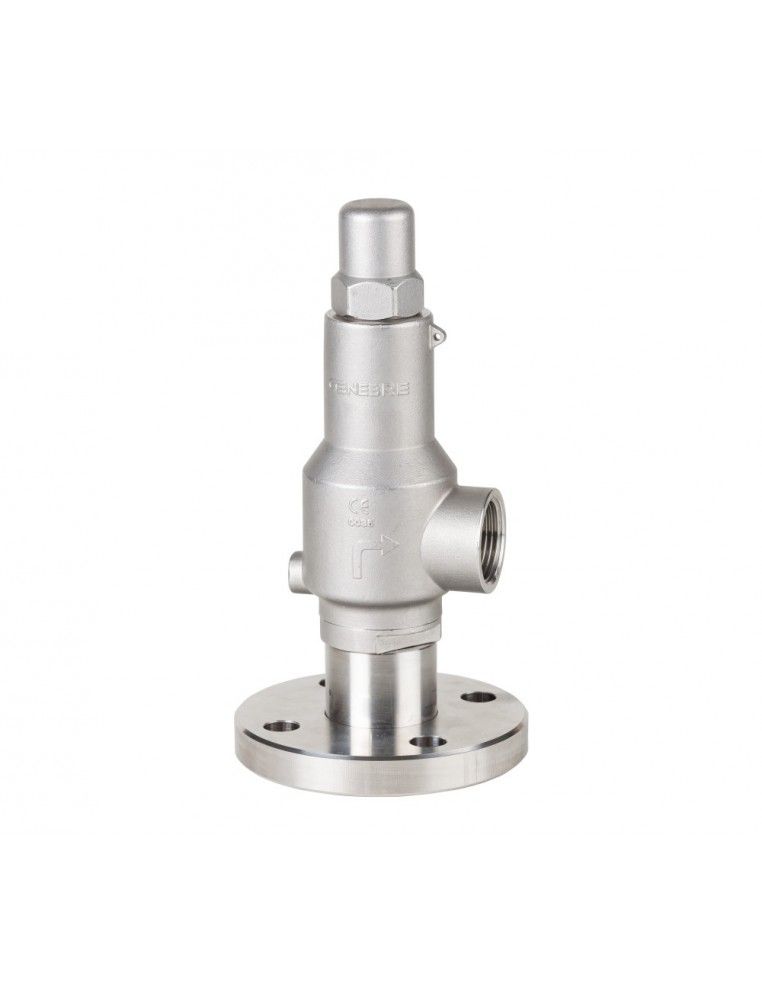 Safety Valves & Pressure relief Valves - 2256 | Genebre