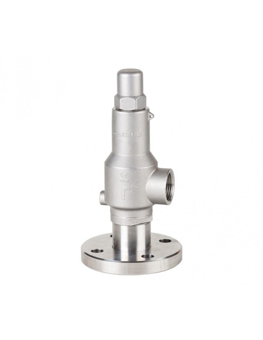 Safety Valves & Pressure relief Valves - 2256 | Genebre